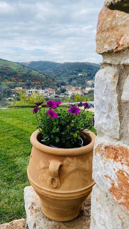Ampelos Cretan Villa - Private Pool & Heated Ozone Jacuzzi Yerolákkos Dış mekan fotoğraf